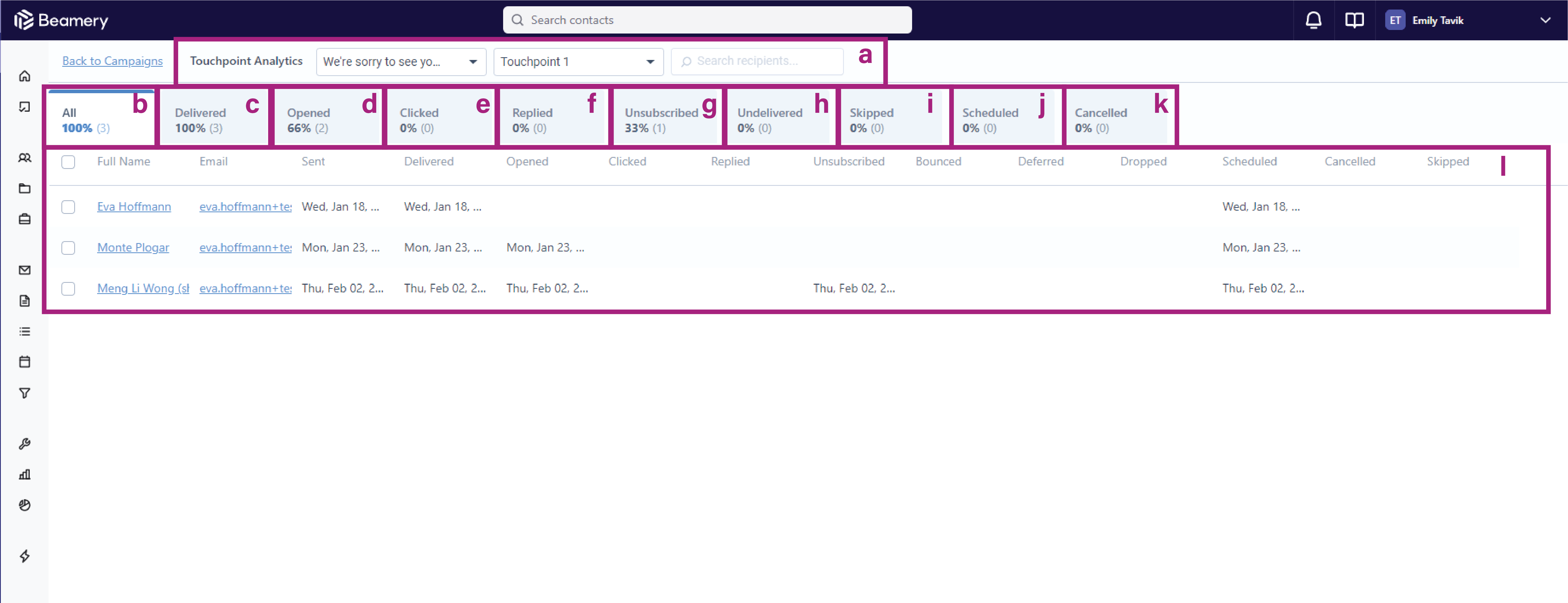 campaign_analytics_overview_page.png