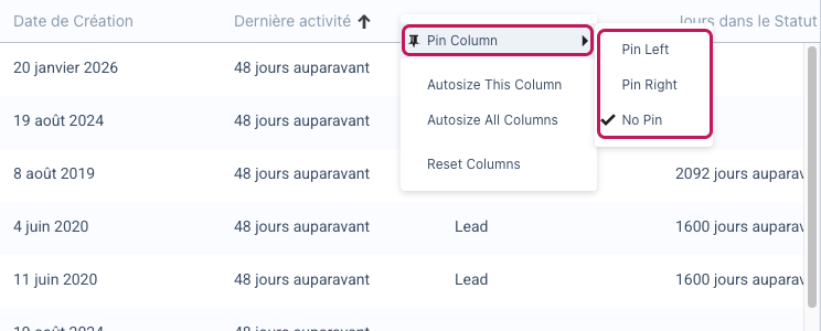 Menu d'une colonne avec Pin Column ouvert et les options Pin Left, Pin Right et No Pin mises en évidence