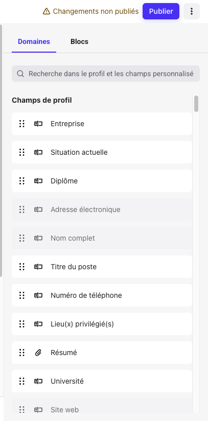 Panneau Domaines du générateur de flux : les champs de profil non disponibles dans un flux connecté apparaissent grisés