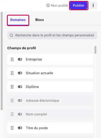 Onglet « Domaines » du Flow Builder affichant les champs de profil, avec le bouton « Publier » en haut à droite